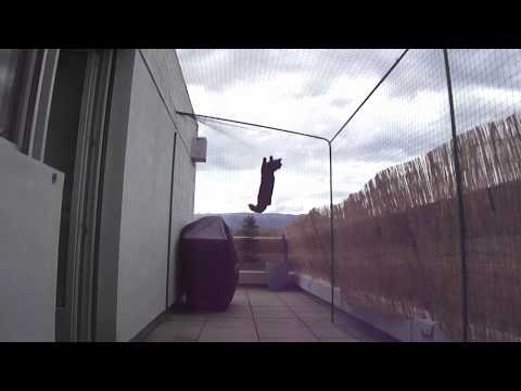 Voir la vidéo