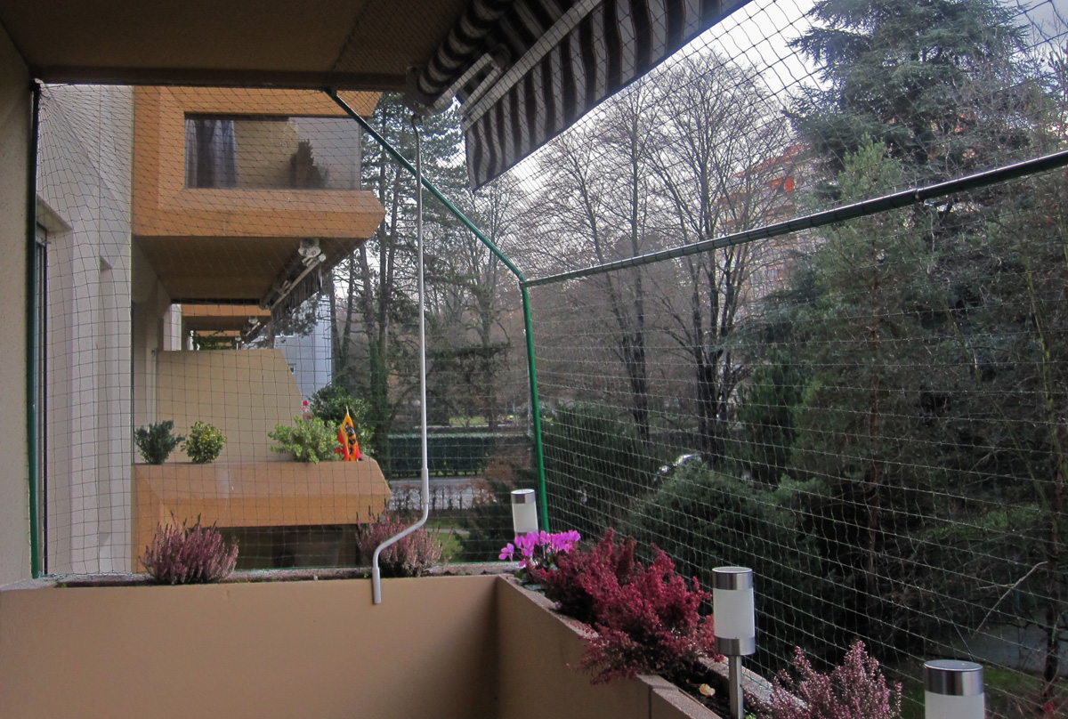 Filet de sécurité pour chat filet de balcon pour chat filet - Temu  Switzerland